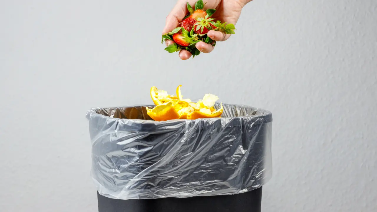 New Project - 2025-05-17T145433.893