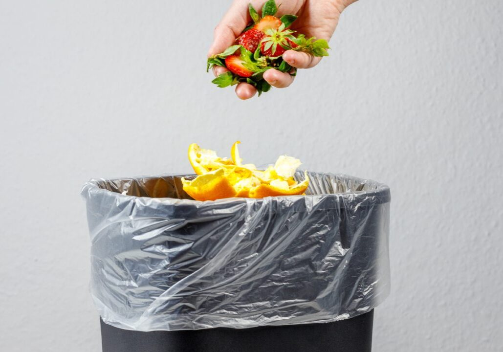 New Project - 2025-05-17T145433.893